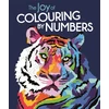 KNYGA Felicity French Joy of Colouring by Numbers