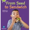KNYGA Fiona Kent Bug Club Phonics - Phase 1 Unit 0: From Seed to Sandwich