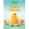 KNYGA Fiona Patchett Eggs and Chicks