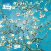Dėlionė Flame Tree Studio Adult Jigsaw Puzzle Vincent van Gogh: Almond Blossom