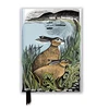 KNYGA Flame Tree Studio Angela Harding: Rathlin Hares (Foiled Journal)