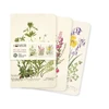 KNYGA Flame Tree Studio Royal Botanic Garden Edinburgh Set of 3 Mini Notebooks