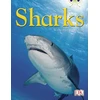 KNYGA Fleur Star BC NF Mėlyna (KS2) B/4A Sharks