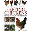 KNYGA Fred Hams Keeping Chickens, Complete Practical Guide to, Rearing; Care; Choosing Your Breed: A directory of chickens, ducks, geese and turkeys, and how to keep them, with over 700 photographs