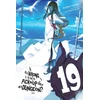 KNYGA Fujino Omori Is It Wrong to Try to Pick Up Girls in a Dungeon?, Vol. 19 (light novel)