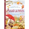 KNYGA Gabby Dawnay Field Guide to Autumn, Play and learn in nature