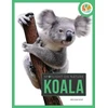 KNYGA Gah Spotlight on Nature: Koala