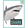 KNYGA Gah Spotlight on Nature: Shark