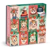 Dėlionė GALISON Furry And Bright 500 Piece Puzzle