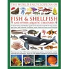 KNYGA Hall Derek World Encyclopedia Of Fish &amp; Shellfish And Other Aquatic Creatures