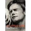 KNYGA Hanya Yanagihara Little Life