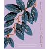 KNYGA Harper By Design Plantphabet, A stunningly illustrated A-Z celebration of popular indoor plants, for fans of Plant Society, Leaf Supply and Plantopedia