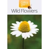 KNYGA Harpercollins Publishers Wild Flowers