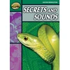KNYGA Haydn Middleton Rapid Reading: Secrets & Sounds (Stage 5, Level 5B)