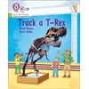 KNYGA Helen Dineen Track a T-Rex