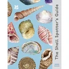 KNYGA Helen Scales Shell Spotter’s Guide