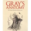 KNYGA Henry Gray Frs Grays Anatomy