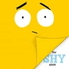 KNYGA Howard Pearlstein Shy Book