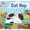 KNYGA Inbali Iserles Cat Nap