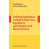 KNYGA Inna Shingareva Solving Nonlinear Partial Differential Equations with Maple and Mathematica