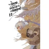 KNYGA Is It Wrong to Try to Pick Up Girls in a Dungeon?, Vol. 11 (light novel)