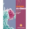 KNYGA J. H. L. Playfair Immunology at a Glance