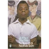 KNYGA James Baldwin Notes of a Native Son