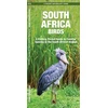 KNYGA James Kavanagh South Africa Birds