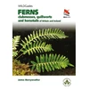 KNYGA James Merryweather Ferns