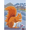 KNYGA Jane Smith Nature Notebook: Raudona Squirrel