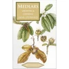 KNYGA Jane Steward Medlars