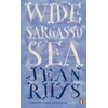 KNYGA Jean Rhys Wide Sargasso Sea
