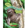 KNYGA Jill Esbaum How Slow Is a Sloth?: Measure the Rainforest (Nature Numbers)