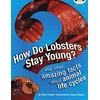 KNYGA Jillian Powell Bug Club Independent Non Fiction Year 3 Brown A How Do Lobsters Stay Young?