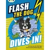 KNYGA Jim Eldridge Bug Club Independent Fiction Year 3 Brown B Flash the Dog Dives In!