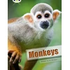 KNYGA Jo Windsor Bug Club Guided Non Fiction Year 3 Baltas A Monkeys