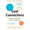 KNYGA Johann Hari Lost Connections