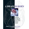 KNYGA John E Upledger Brain Is Born