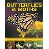 KNYGA John Farndon Exploring Nature: Butterflies &amp; Moths
