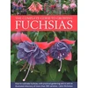 KNYGA John Nicholass Fuchsias, The Complete Guide to Growing, How to cultivate fuchsias with practical gardening advice and an illustrated directory of 500 varieties