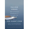 KNYGA Jon Kabat Zinn Falling Awake