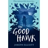 KNYGA Joseph Elliot Good Hawk (Shadow Skye, Book One)