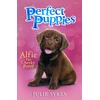 KNYGA Julie Sykes Perfect Puppies Book 1