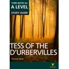 KNYGA Karen Sayer Tess of the D'Urbervilles: York Notes A-level English Literature Study Guide - for 2026, 2027 exams