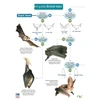 KNYGA Kate Jones Guide to British Bats