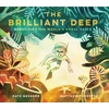 KNYGA Kate Messner Brilliant Deep