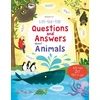 KNYGA Katie Daynes Lift-the-flap Questions and Answers about Animals