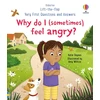 KNYGA Katie Daynes Very First Questions and Answers: Why do I (sometimes) feel angry?