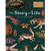 KNYGA Katie Scott Story of Life: Evolution (Extended Edition)
