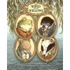 KNYGA Kenneth Grahame Wind in the Willows: With Illustrations by David Petersen